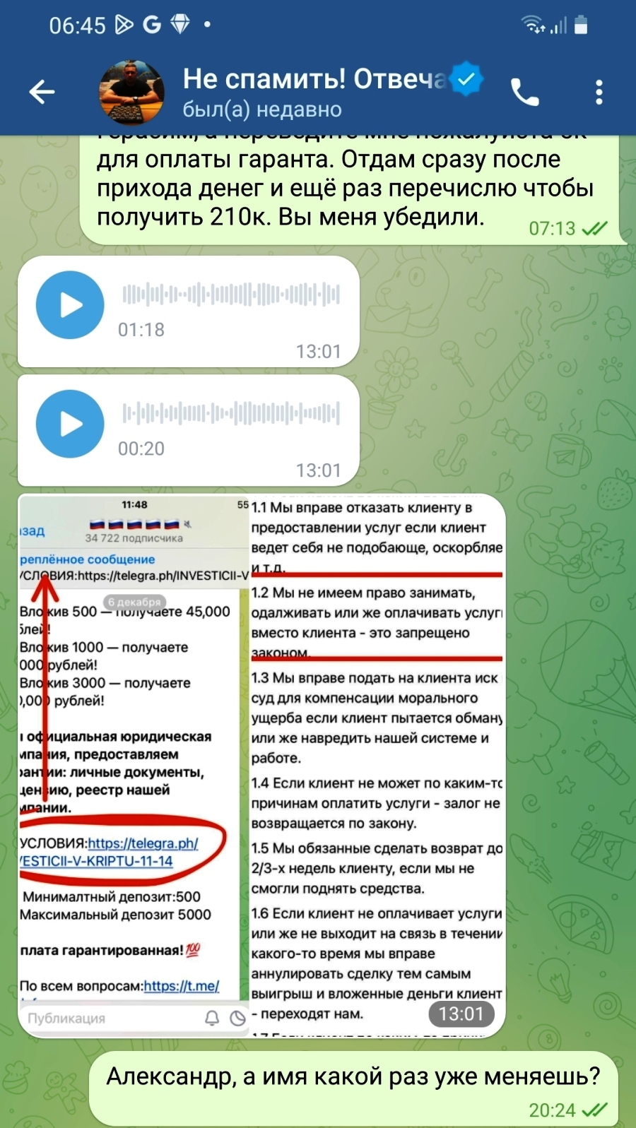 скриншот переписки переписка с мошенником герасимом