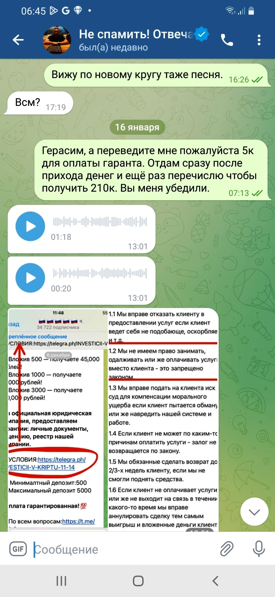 скриншот переписки переписка с мошенником герасимом