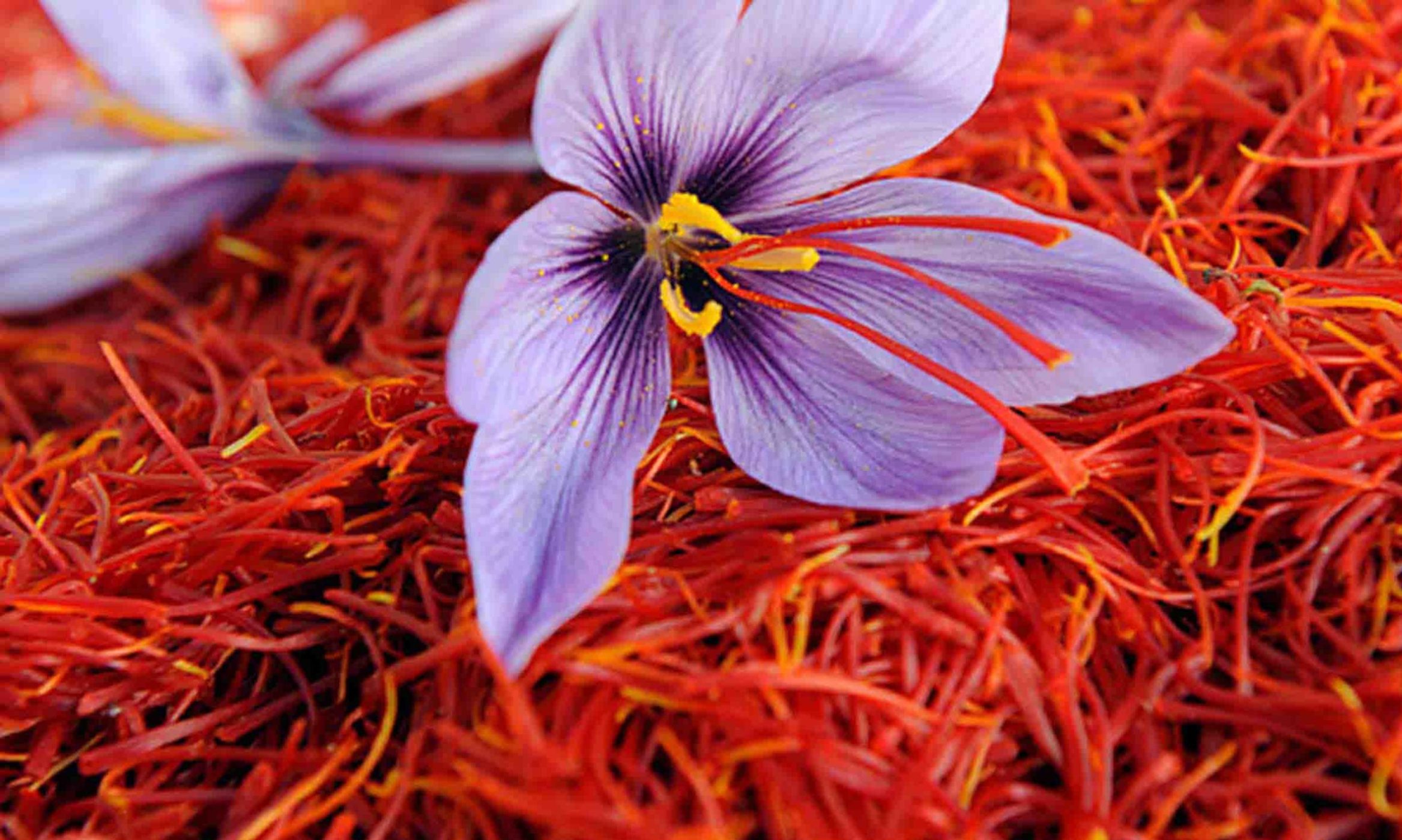 Saffron